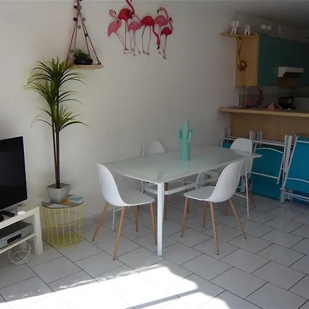 Bel Avec Terrasse Pour 4 Personnes, Proche A Port Camargue Le Grau-du-Roi