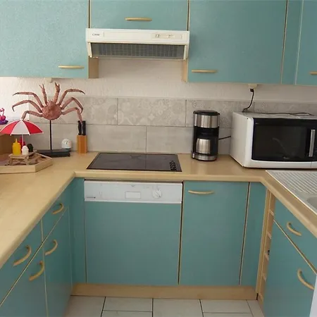 Bel Avec Terrasse Pour 4 Personnes, Proche A Port Camargue - Fr-1-731-140 Apartment *